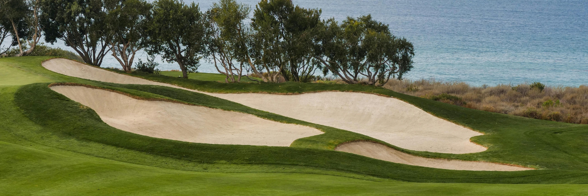 What Private Jet Should You Take on Your Next Golf Trip?