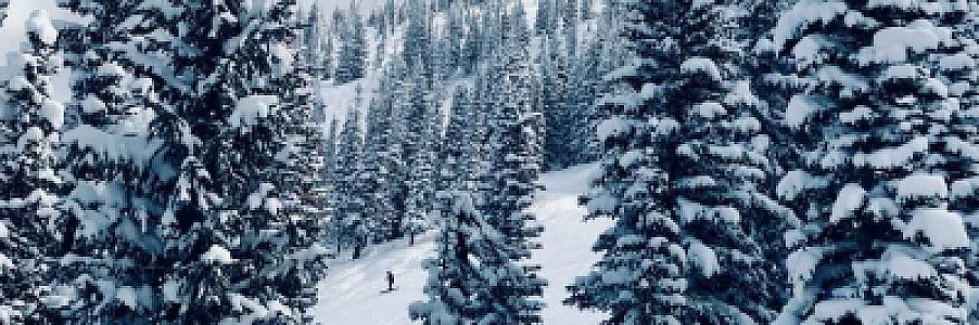 Private Jet Steamboat Springs: SBS vs HDN Guide