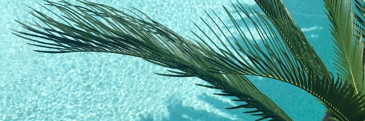 How Much Does It Cost to Fly Private to Palm Beach International Airport