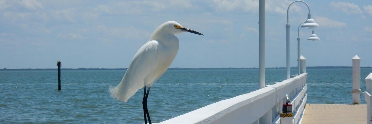 What It Costs to Fly Private to Naples Florida via Naples Municipal Airport