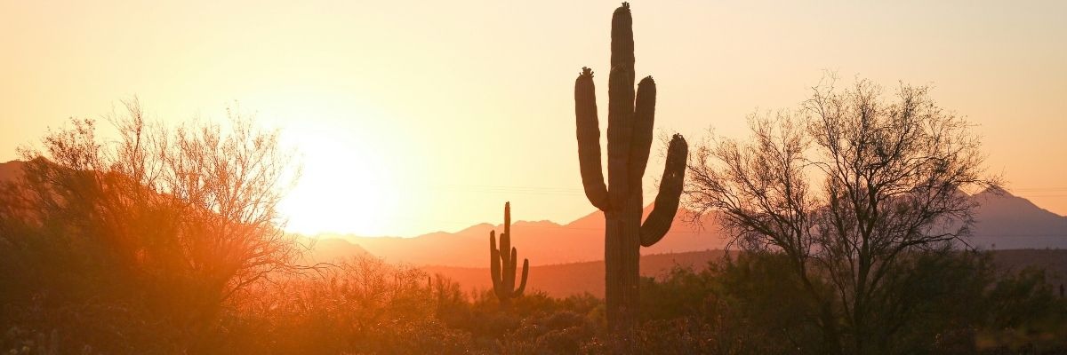 Private Jet to Phoenix in Summer 2026: Why DVT, Scottsdale, and Falcon Field Make Sense