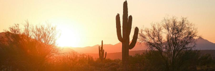 Private Jet to Phoenix in Summer 2026: Why DVT, Scottsdale, and Falcon Field Make Sense