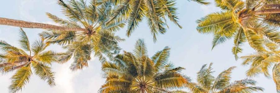  Private Jet to Palm Beach: Why PBI Is the Quiet Luxury Airport Choice