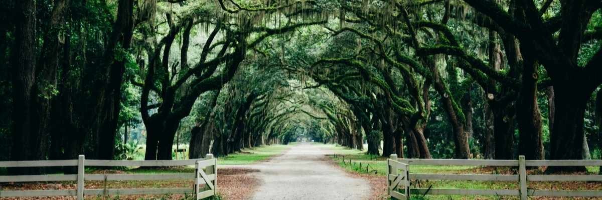Private Jet to Savannah, Georgia: The 2026 SAV Charter Guide