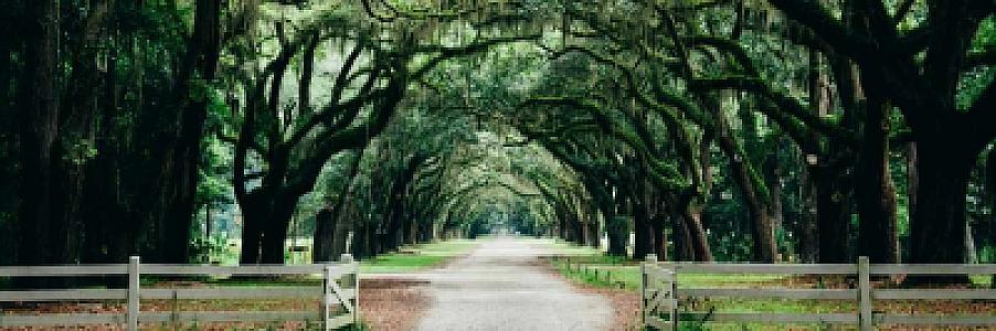 Private Jet to Savannah, Georgia: The 2026 SAV Charter Guide