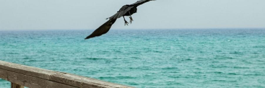 Private Jet Travel Trends 2026: The Rise of Secondary Luxury Cities