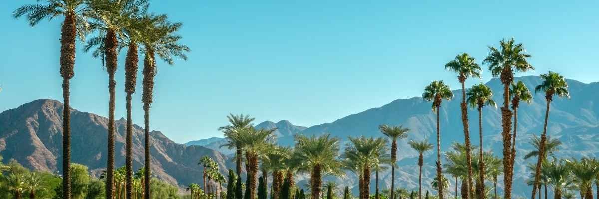 Private Jet Coachella 2026: Airports, Pricing, and Booking