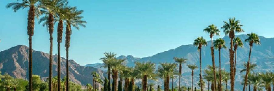 Private Jet Coachella 2026: Airports, Pricing, and Booking