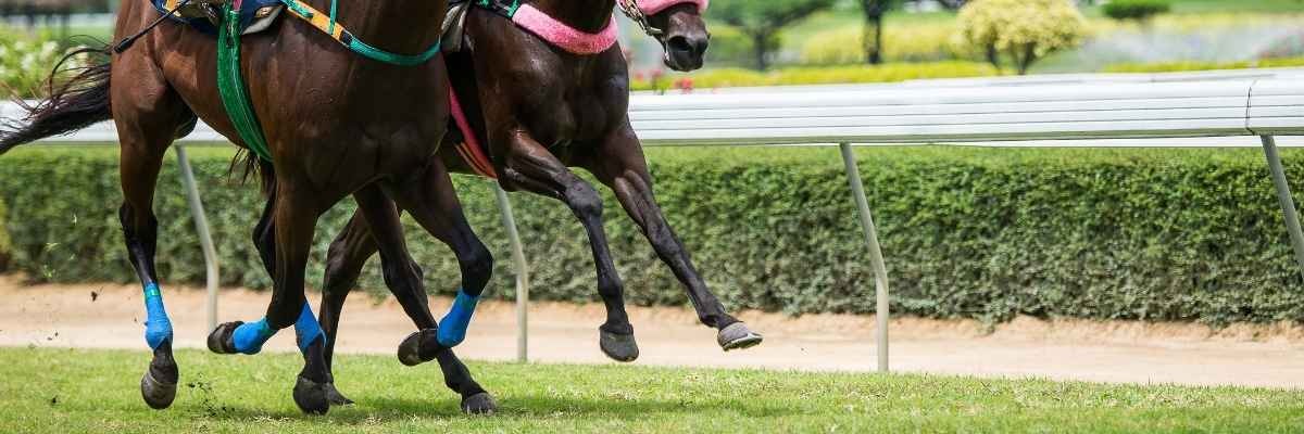 Private Jet Kentucky Derby 2026: Best Airports Guide