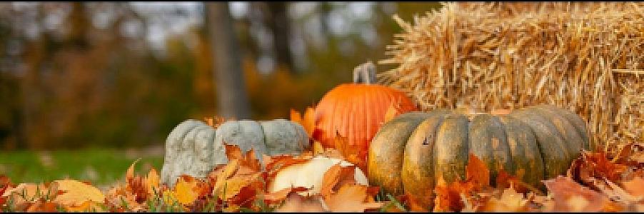 Private Jet Thanksgiving 2026: Peak Travel Week Guide