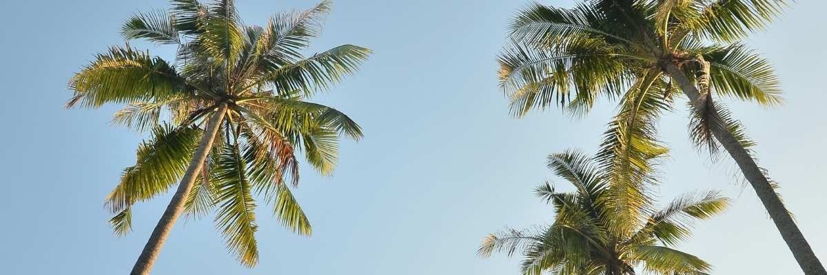 Private Jet Palm Beach: The Fall 2026 PBI Arrival Guide