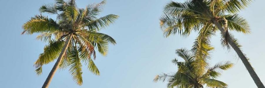 Private Jet Palm Beach: The Fall 2026 PBI Arrival Guide