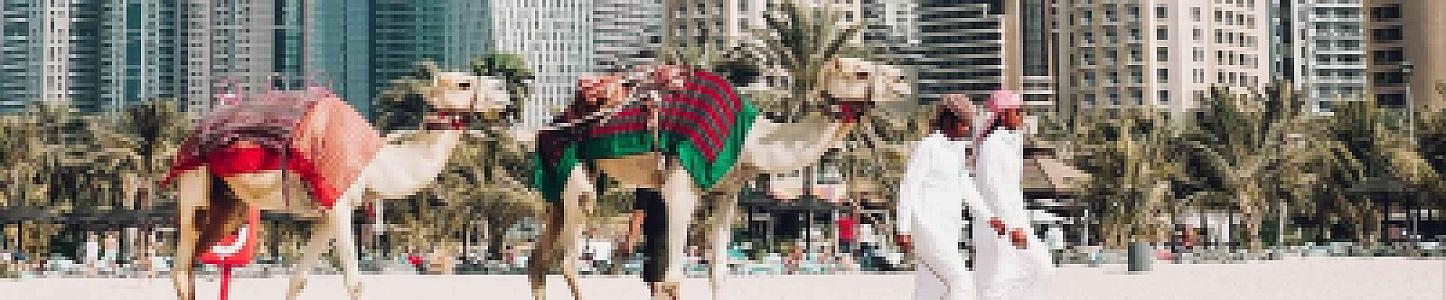 Private Jet to Dubai: Fall 2026 DXB Charter Guide