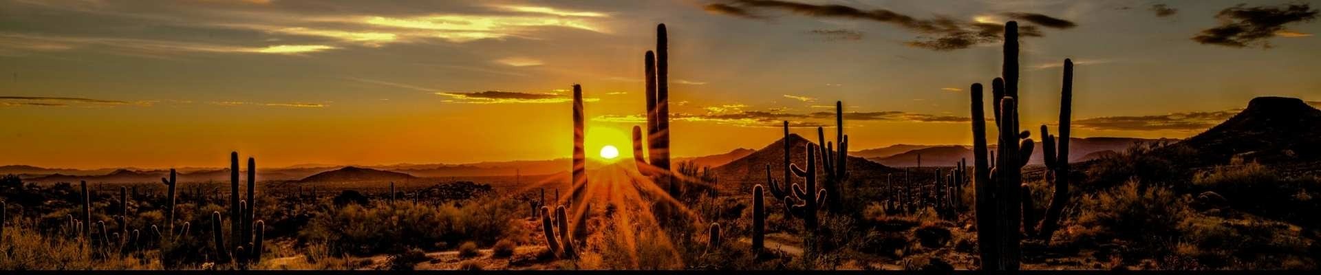 Scottsdale Airport Private Jet Guide: SDL and Phoenix