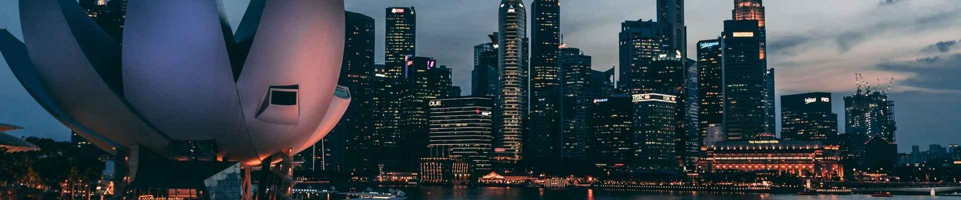 Private Jet to Singapore: Planning Guide and Airport Options