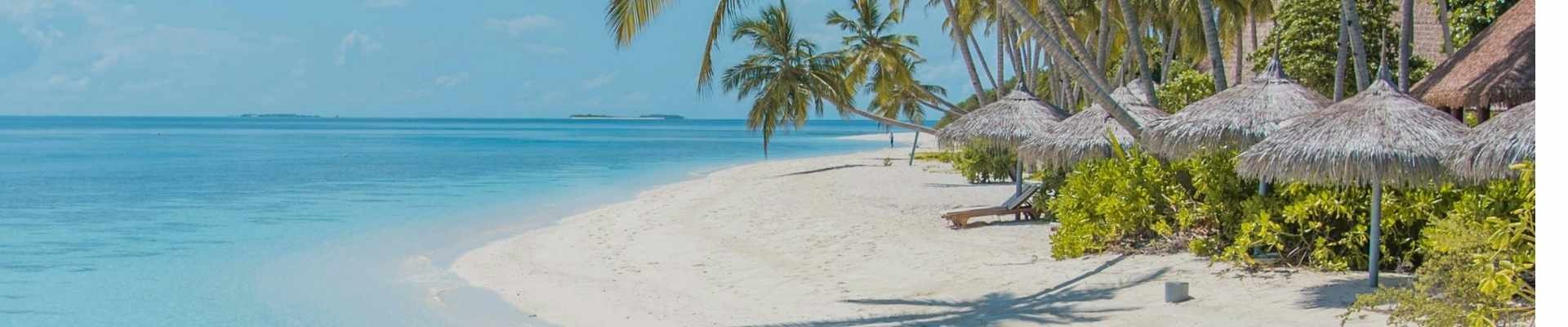 Private Jet to the Maldives: A Complete Resort Transfer Guide