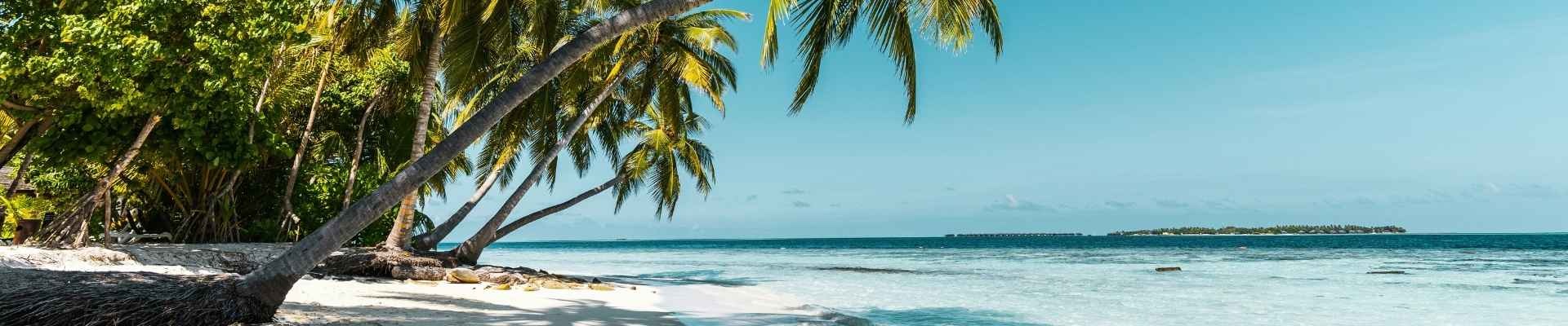 Palm Beach Airport Private Jet Guide: Fall 2026 Arrivals