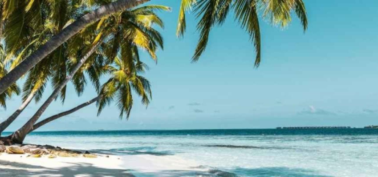 Palm Beach Airport Private Jet Guide: Fall 2026 Arrivals