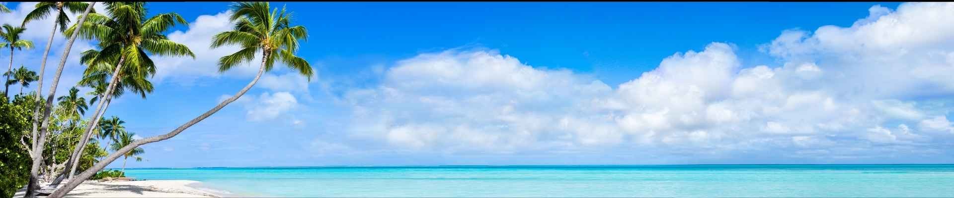 Private Jet Honeymoon: A Complete Guide to Planning