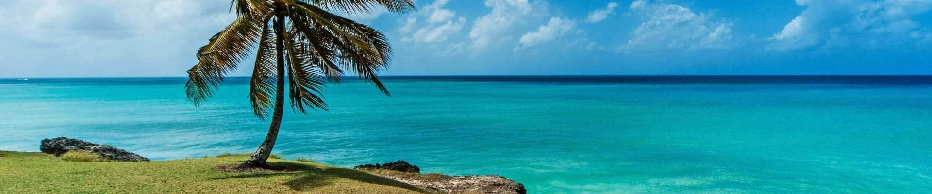Private Jet to Barbados: BGI and November 2026 Guide