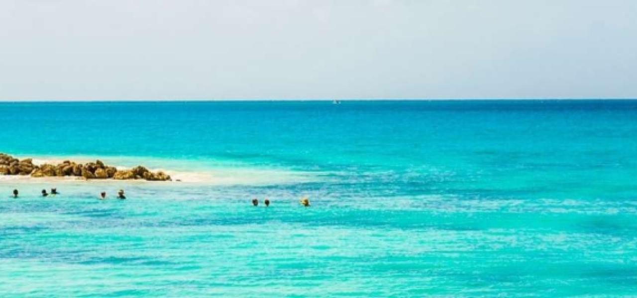 Rihanna Private Jet: Barbados to Los Angeles Travel