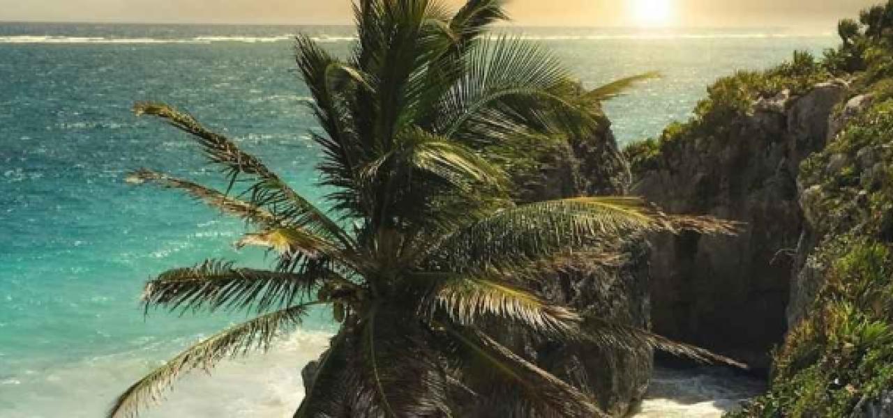 Private Jet to Tulum: TQO Airport Guide, November 2026