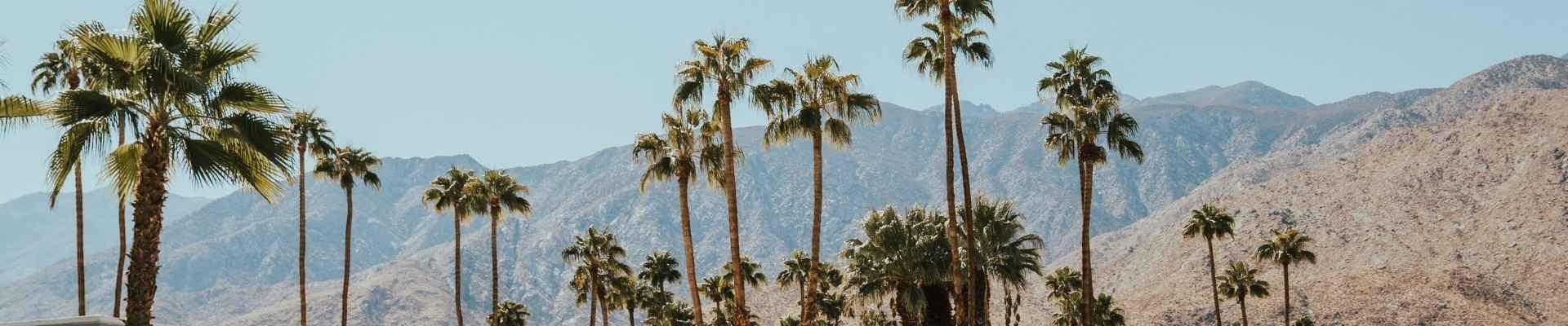 Private Jet to Palm Springs: Your Winter Season Guide
