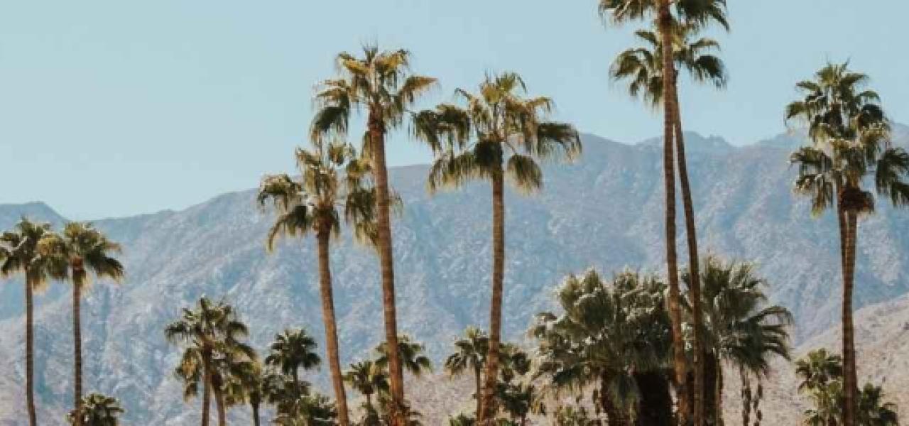 Private Jet to Palm Springs: Your Winter Season Guide