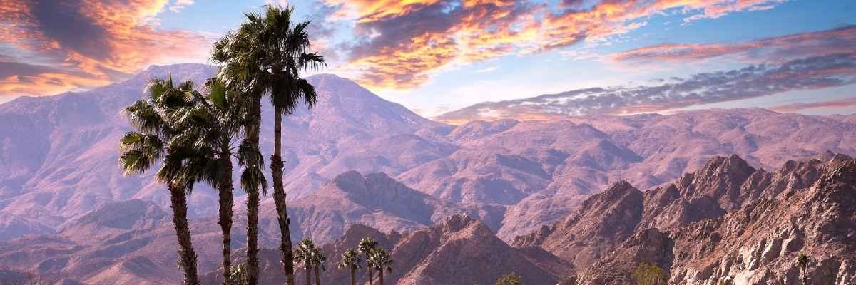 Private Jet Palm Springs Summer 2026 Travel Guide