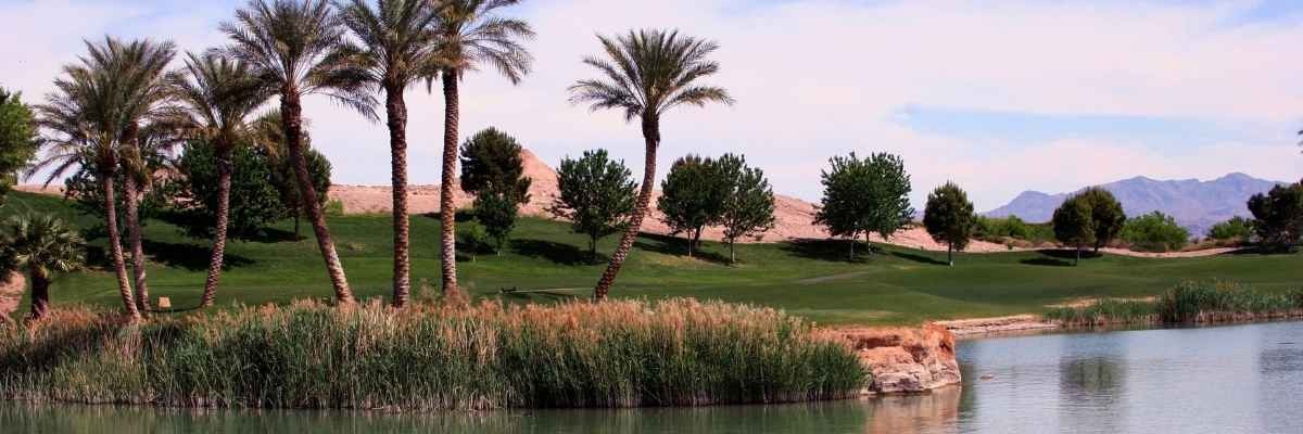 Private Jet Golf Trip to Las Vegas: Why Henderson Executive Is the Smart Arrival for Desert Golf in 2026