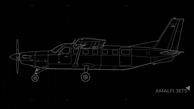 Kodiak 100 technical schematic