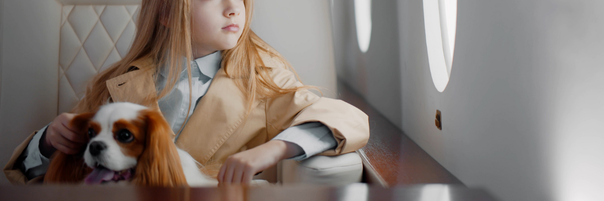 Flying Private With Pets: What to Know Before You Go