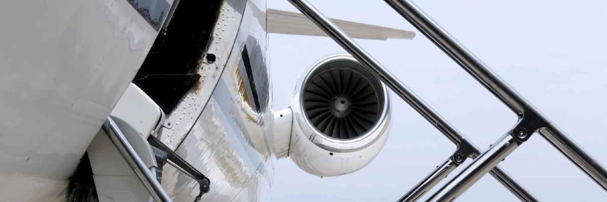 Dog on a Private Jet in 2026: What It's Really Like and How to Book It