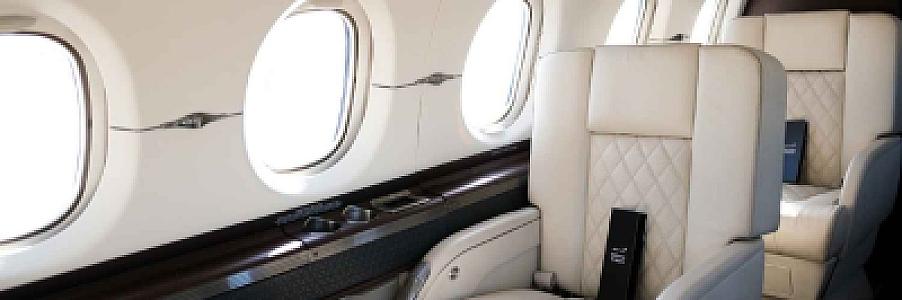 Fly Private Jet With Dog: The Step-by-Step Booking Guide for 2026