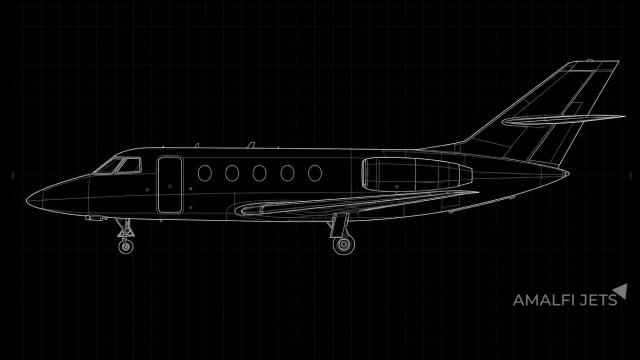 Falcon 100 technical schematic