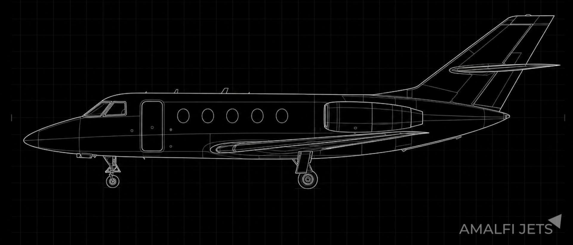 Falcon 100 technical schematic